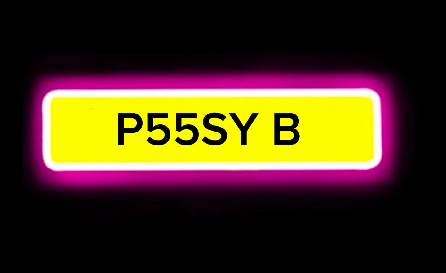 PUSSY B