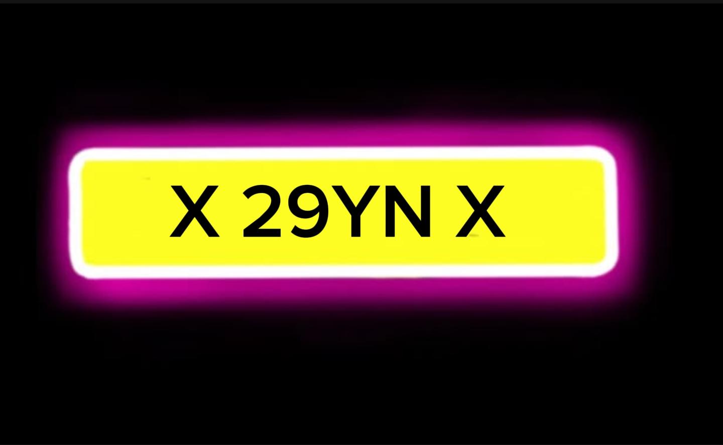 X ZAYN X