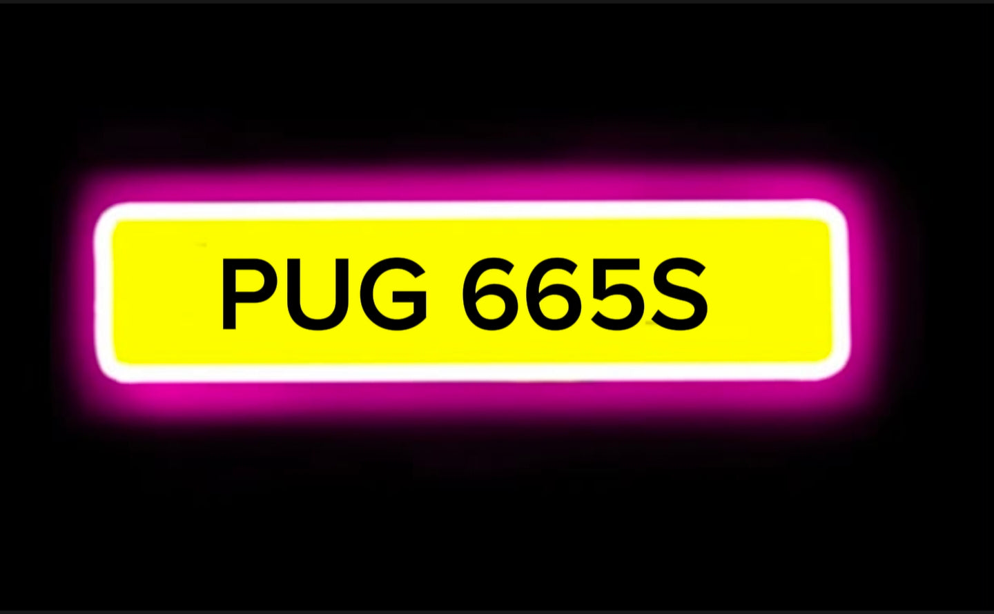 PUGS
