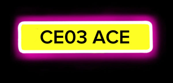 CEO ACE