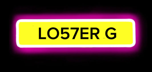 LOSER G/LOST HER G