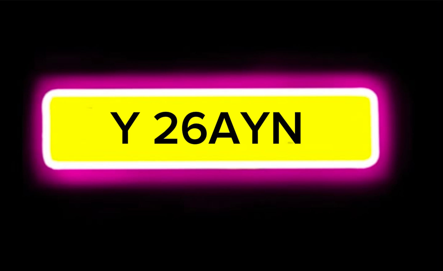 Y ZAYN