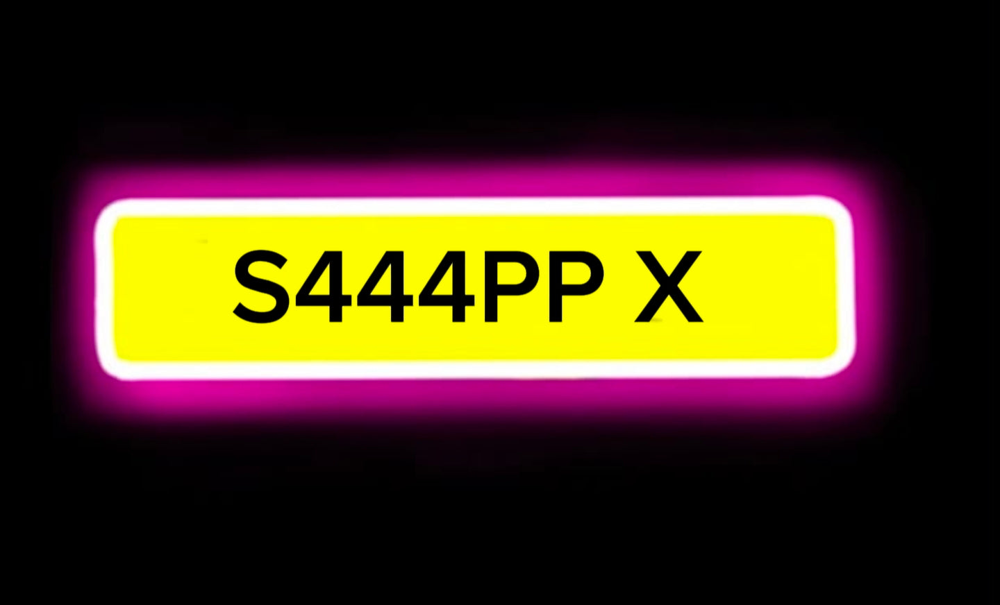 SAPP X