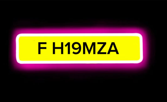 F HAMZA