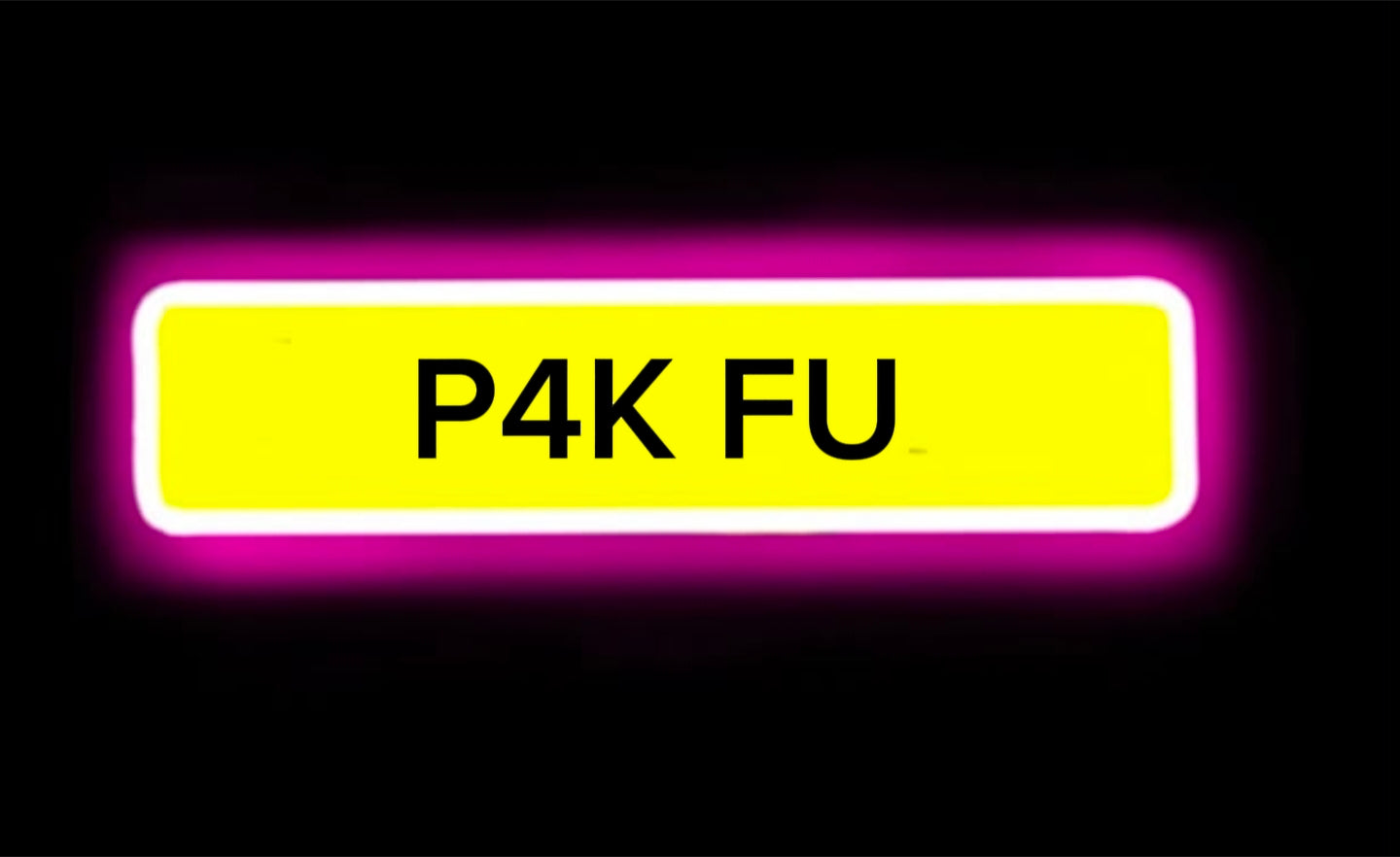 PAK FU