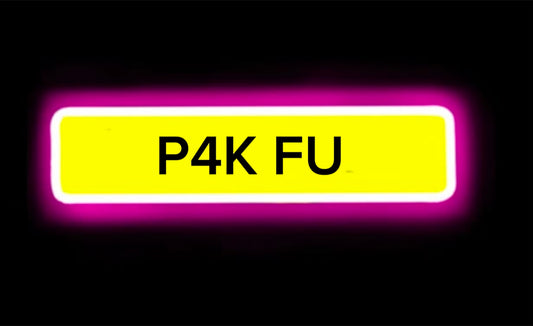 PAK FU
